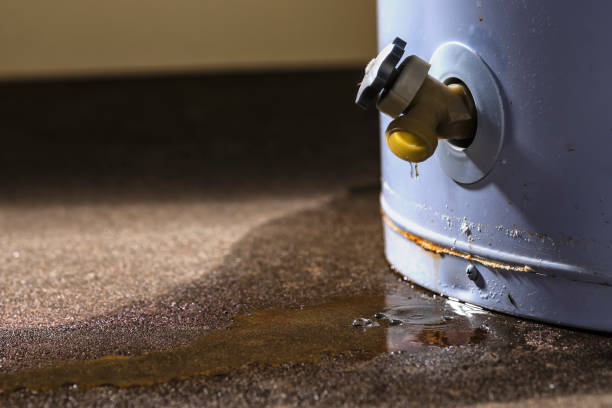 Best Water damage contractors near me  in Hayneville, AL