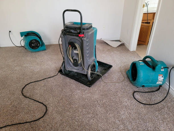 Carpet water damage restoration in AL