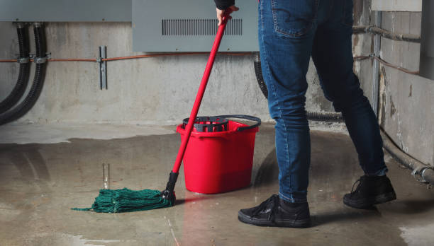 Best Water damage restoration near me  in Hayneville, AL