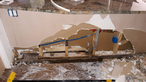Best Commercial water damage restoration  in Hayneville, AL