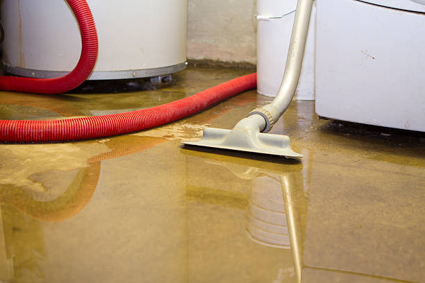 Best Flood damage cleanup  in Hayneville, AL